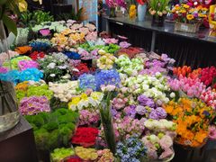 -双季花艺园艺市场(浦东店)