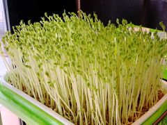 -牛品福潮汕牛肉火锅(旺庄店)