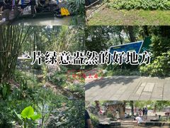 -成都市活水公园