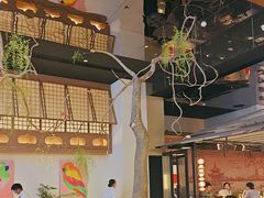 -桂满陇·海市蜃楼·黑金(国金店)