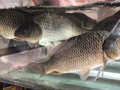 -和福餐馆(西江古街店)