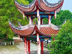 -南山植物园