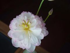 -长广溪湿地公园
