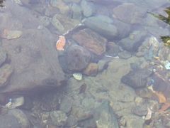 -宁波五龙潭景区