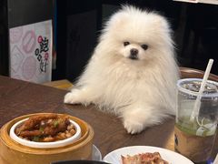 -标记Jane's kitchen(平桥直街店)