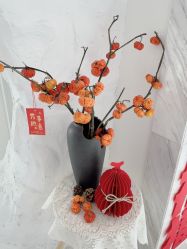 -小梨专业脱毛连锁机构