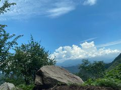 -洛阳白云山景区