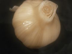 -呷哺呷哺(新世界百货望京店)