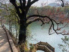-蒋氏故居