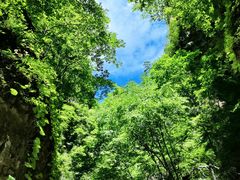 -野三坡百里峡景区