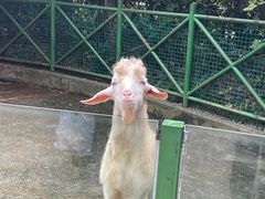 -杭州野生动物世界