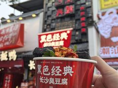 -黑色经典臭豆腐·湖南特产(坡子街店)