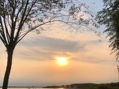 -呼兰河口湿地公园
