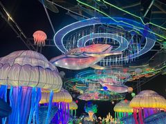 -三亚海昌梦幻海洋不夜城