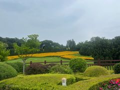 -棒棰岛宾馆景区