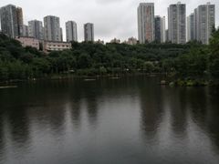 -重庆彩云湖湿地公园