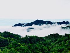 -青城山