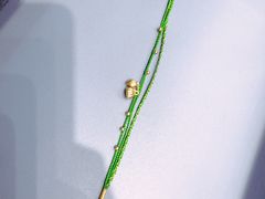 -嘉兴戴梦得购物中心