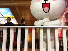 -line friends(明洞旗舰店)