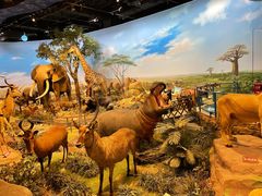 -陕西自然博物馆