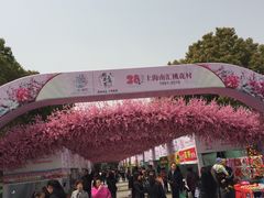-南汇桃花村