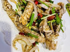 -吉香碳烤生蚝(仙霞路店)