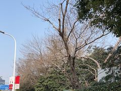 -上海大自然野生昆虫馆
