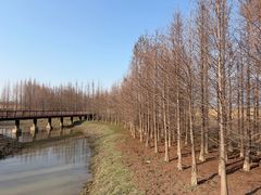 -双山岛