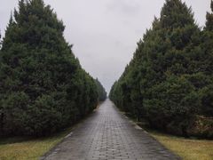 -秦始皇帝陵博物院-丽山园