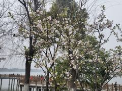 -艾溪湖湿地公园
