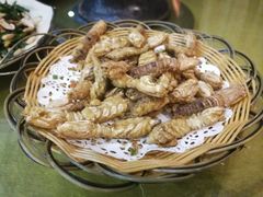 皮皮虾-台山第一家兴华黄鳝饭·黄鳝婆(开平店)