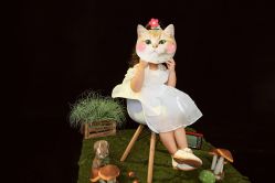 -童年时光专业儿童摄影(龙首店)