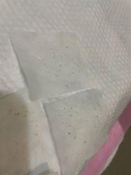 -苑苑vbeauty科技美容SPA