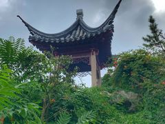 -苏州冶园园林民宿(太湖西山风景区店)