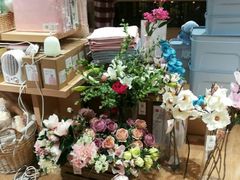 -九木杂物社(恒隆广场店)