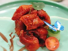 -丁老爷子苏香圆