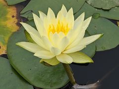 -东莞植物园