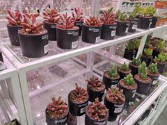-KKV(天津津南吾悦广场店)