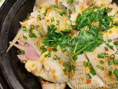 青花椒蒸龙胆鱼-闽和南(深圳万象城店)