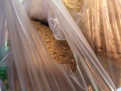 椰蓉面包-钟楼大面包