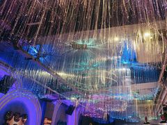 -Darling Queen·Mini·Live·House