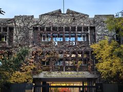 -三里屯东五街银杏大道
