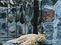 -泰山风景名胜区