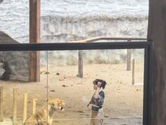 -清迈夜间动物园