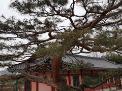 -景福宫