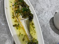 -老绍兴养和饭店(向阳不夜城店)