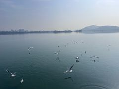 -桃源居(蠡园店)