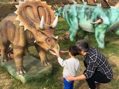 -西部长青自然儿童乐园