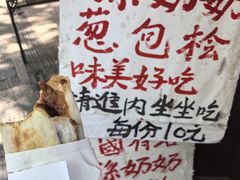 -孙奶奶葱包桧