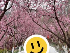 -正宗火盆自助烧烤·烤全羊·柴火鸡(龙泉山店)